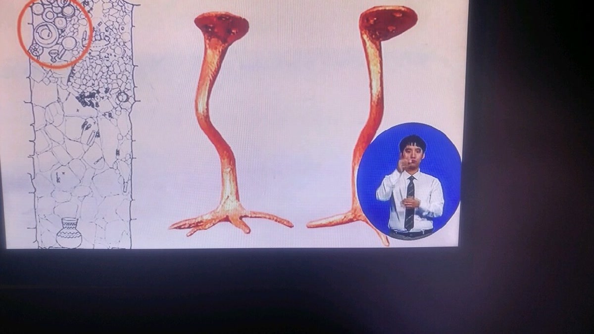 양산시립박물관, 아이 30명 함께 웃었다