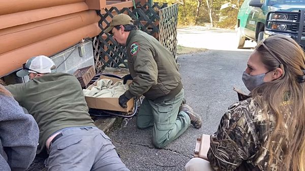 사진출처=Appalachian Bear Rescue 페이스북