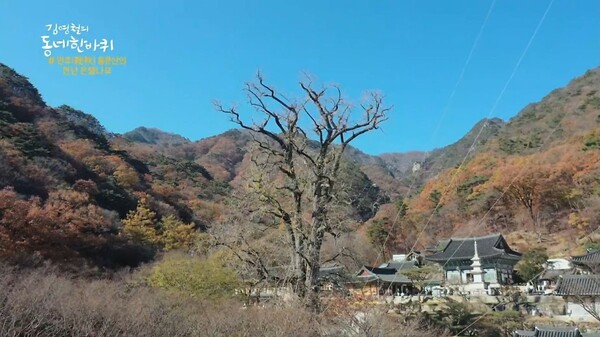kbs 김영철의 동네 한 바퀴
