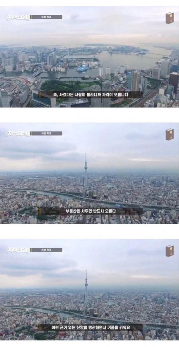 사진_ 유튜브 채널 '지식한입' 캡처