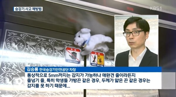 사진출처='KBS NEWS' 유튜브 채널