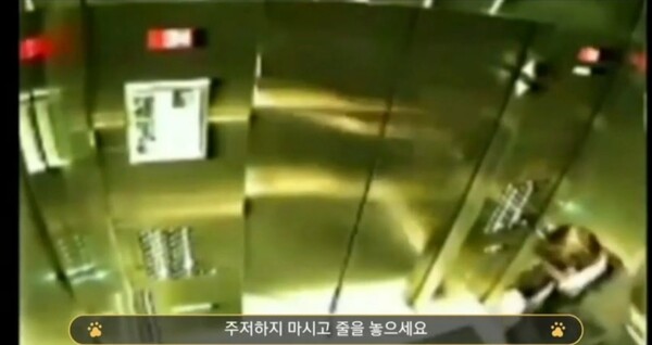 사진출처='엘리베이터 수리기사' 유튜브 채널