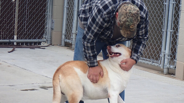 사진출처='Washington County, TN Animal Shelter' 페이스북