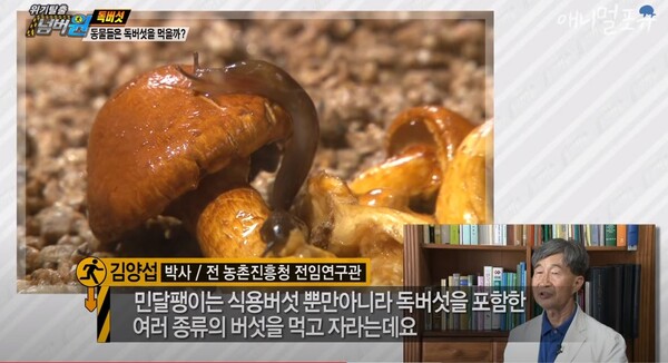 사진출처=KBS동물티비 : 애니멀포유