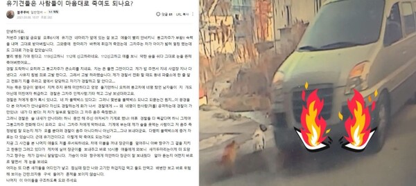 빨리 안비킨다며 유기견 차로 밟아 죽인 봉고차주…"그까짓꺼 벌금 내면 돼"