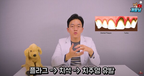 사진출처='개알남' 공식 유튜브 채널