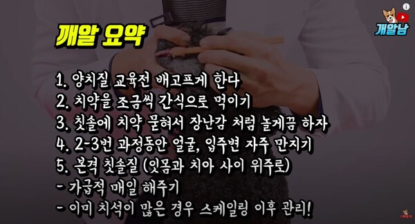 사진출처='개알남' 공식 유튜브 채널