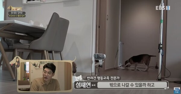 사진출처='EBSCulture (EBS 교양)' 공식 유튜브 채널