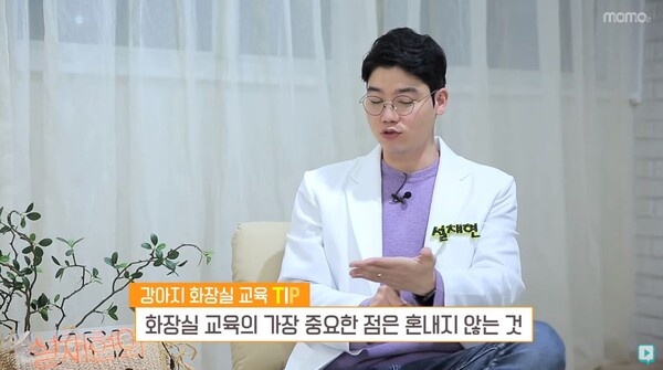 사진출처='모모 momoe' 유튜브 채널