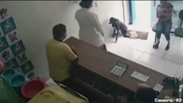 다친 몸 치료받으려 스스로 병원 찾은 강아지