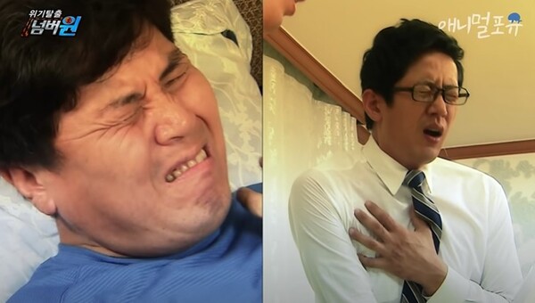 사진출처='KBS동물티비 : 애니멀포유_(위기탈출 넘버원 348회)' 공식 유튜브 채널