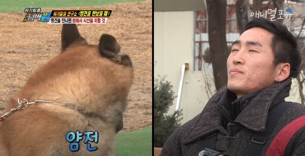 사진출처='KBS동물티비 : 애니멀포유' 유튜브 채널