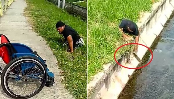'위험천만' 길냥이 보자마자 휠체어에서 내려 구조한 남성