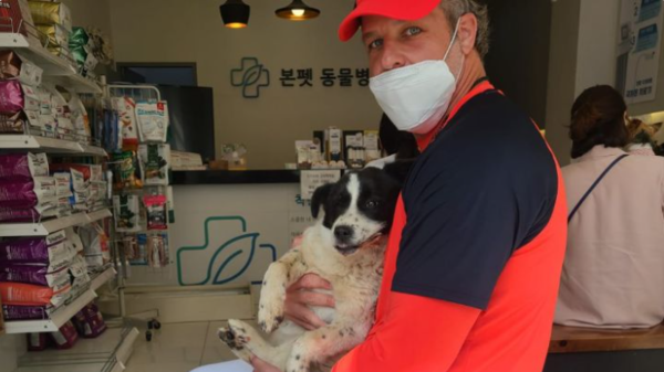 KIA 외국인 코치, 광주서 차에 치인 강아지 구조…감동 '기부행렬'
