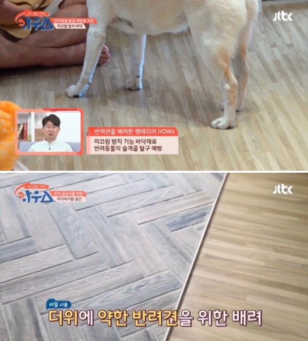사진출처=YouTube 'JTBC Life' 
