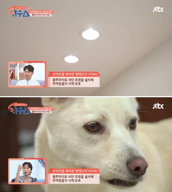 사진출처=YouTube 'JTBC Life' 