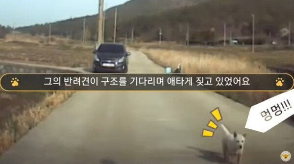 사진출처=YouTube '대한민국 경찰청'