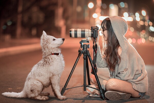 사진출처=Pixabay