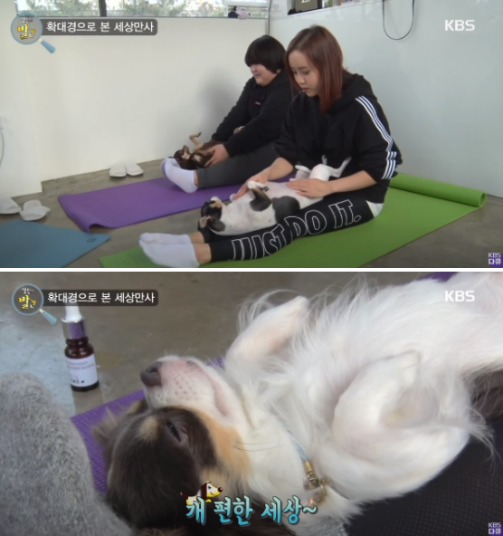 사진출처=YouTube 'KBS 다큐'