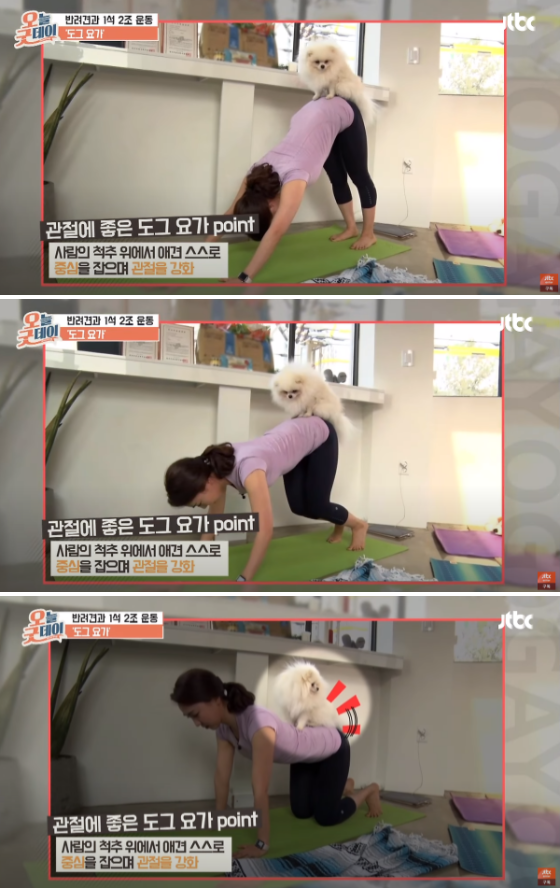 사진출처=YouTube 'JTBC Entertainment'