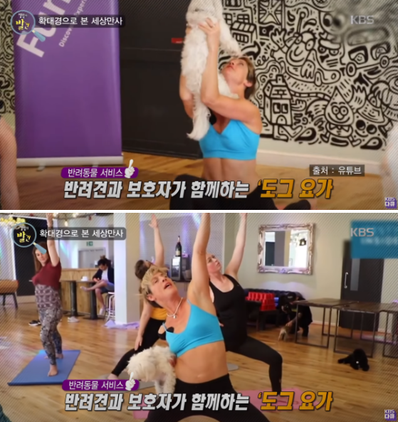 사진출처=YouTube 'KBS 다큐'