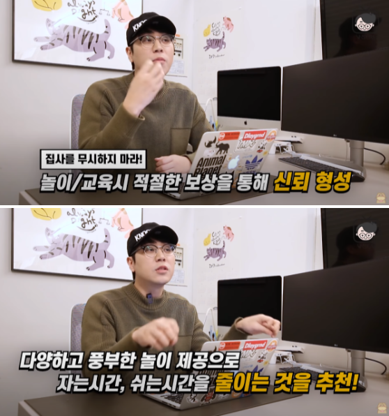 사진출처=YouTube '냥신TV'