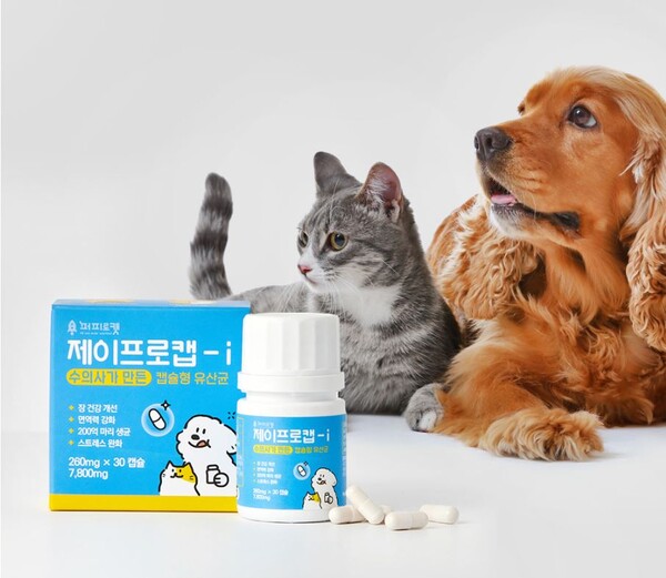 퍼피로캣, 유산균 전문기업 비비씨와 손잡고 반려동물용 유산균 영양제 개발