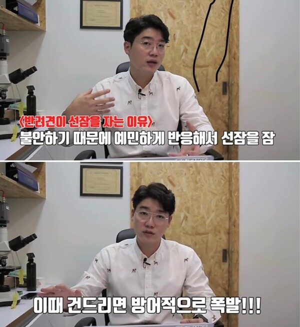 사진출처=YouTube '설채현의Dog살TV