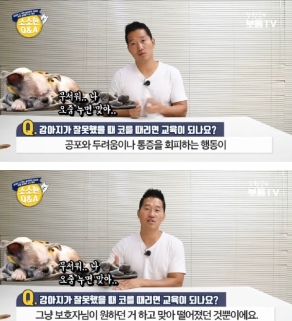 사진출처=YouTube '강형욱의 보듬TV'