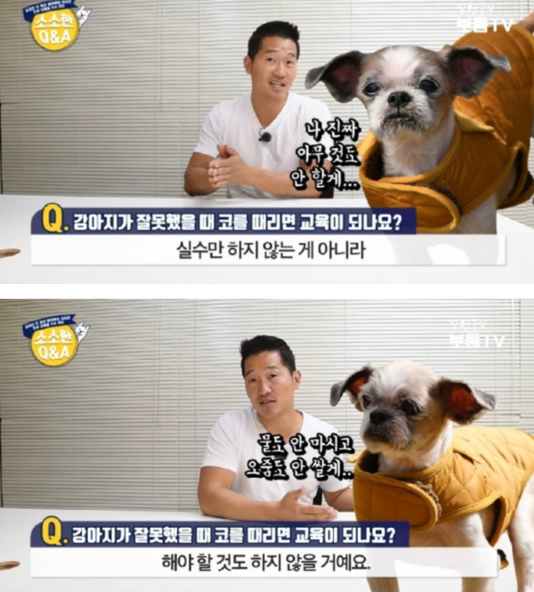 사진출처=YouTube '강형욱의 보듬TV'