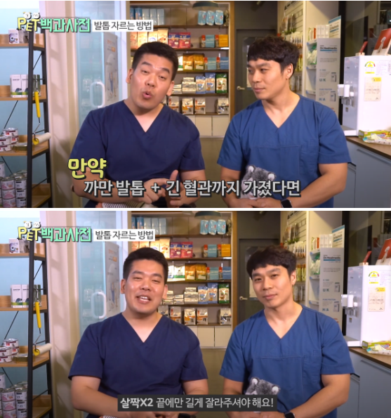사진출처=YouTube '펫백과사전'