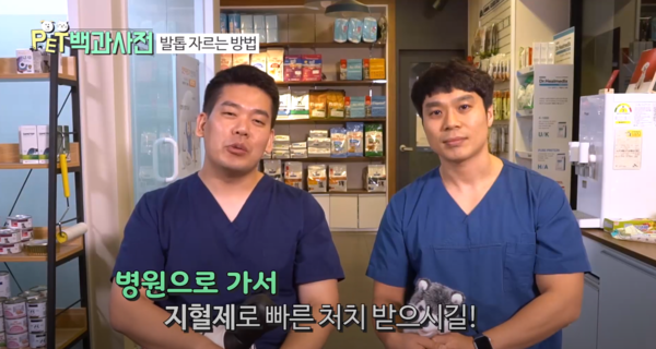 사진출처=YouTube '펫백과사전'