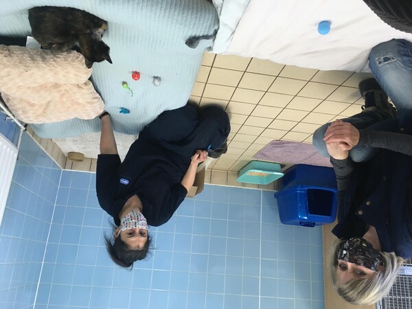 사진출처=RSPCA southridge Official
