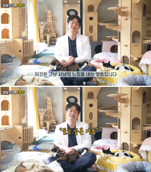 사진출처=YouTube '윤샘의 마이펫상담소-Pet Clinic'