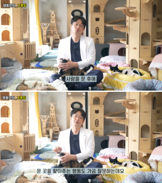 사진출처=YouTube '윤샘의 마이펫상담소-Pet Clinic'