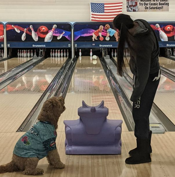 사진출처='@blakethebowlingdoodle' instagram