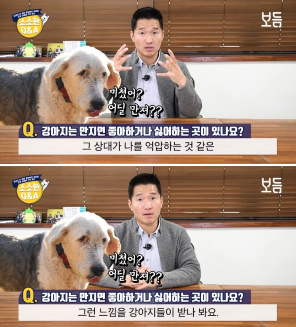 사진출처=YouTube'강형욱의 보듬TV'