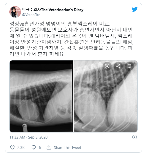 사진출처=‘ClairPark8’ Twitter
