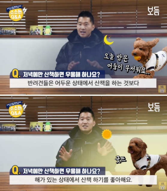사진출처=YouTube '강형욱의 보듬TV'