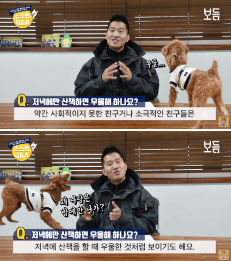 사진출처=YouTube '강형욱의 보듬TV'