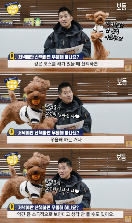 사진출처=YouTube '강형욱의 보듬TV'