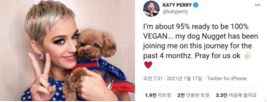 사진출처='@katyperry' Twitter