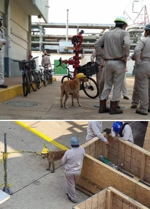 사진출처='En Tamaulipas te informamos' facebook