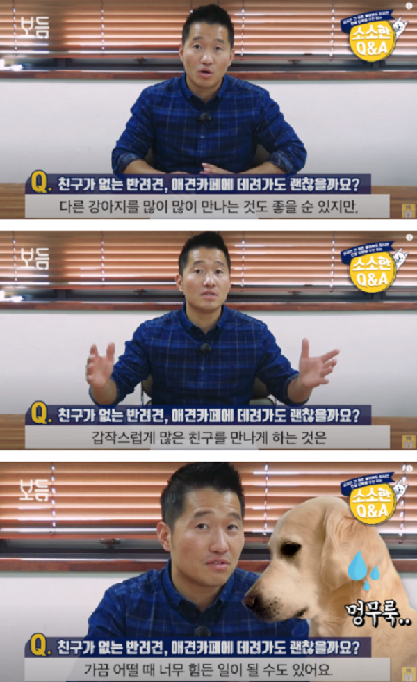 사진출처=YouTube '강형욱의 보듬TV'
