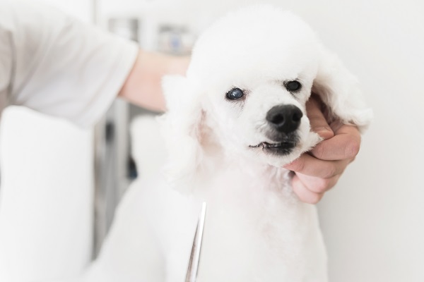 사진출처=gettyimagesbank