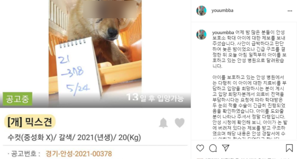 사진출처='@youumbba' instagram