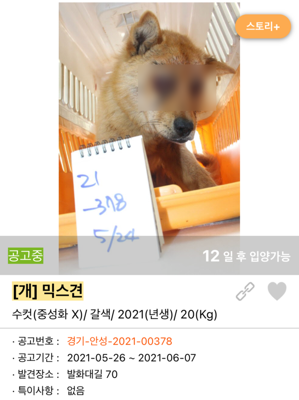 사진출처=포인핸드