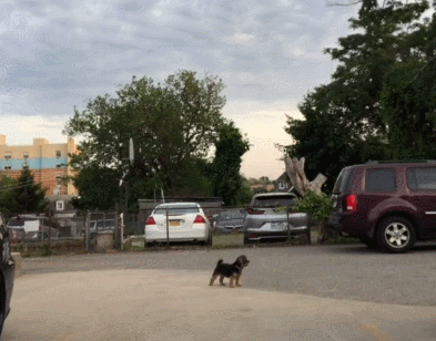사진출처='@kamilandra_' TikTok
