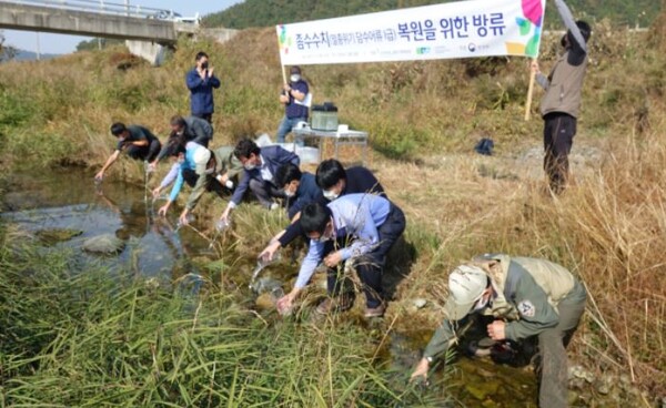 꼬치동자개성어방류