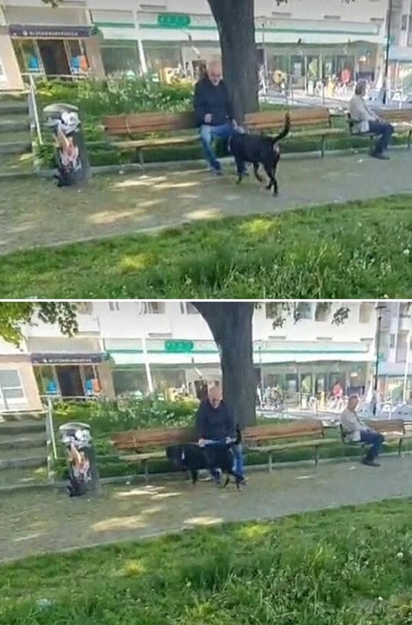 사진출처='@natomcpierson' TikTok
